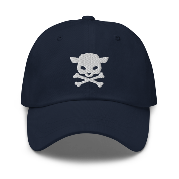 classic dad hat navy front 64b4026d6b2ce
